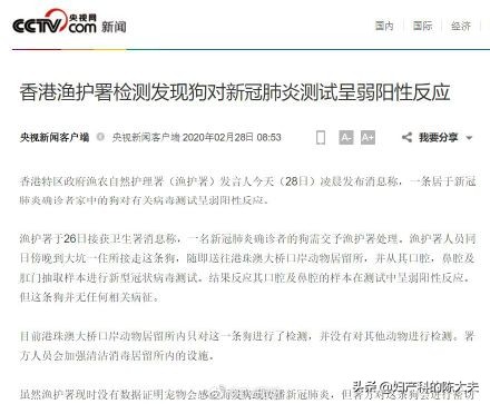 香港高清狗跑图片_香港高清狗跑图片解释