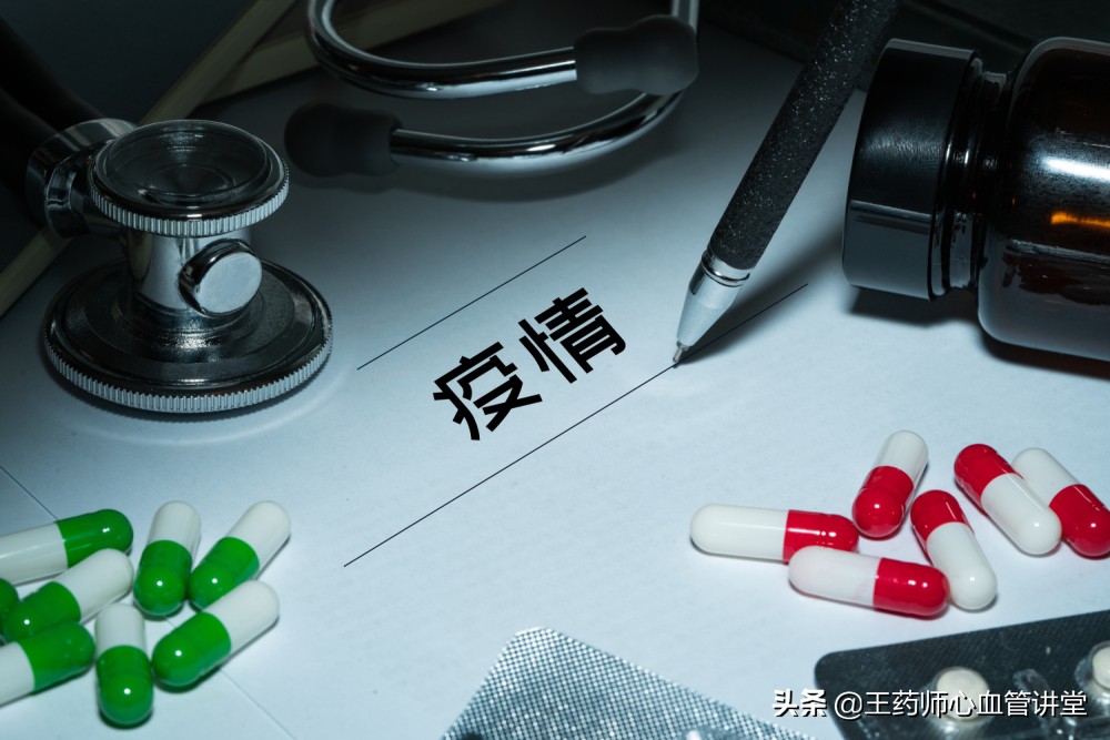 香港高清狗跑图片_香港高清狗跑图片解释