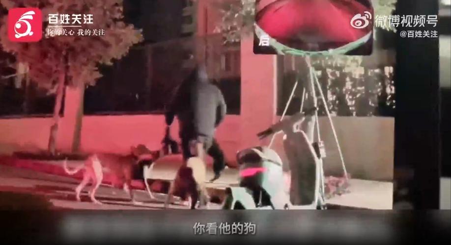 新澳2025最新资料大全18和7岁男孩遭3只犬撕咬与7岁男孩遭3只犬撕咬怎么办