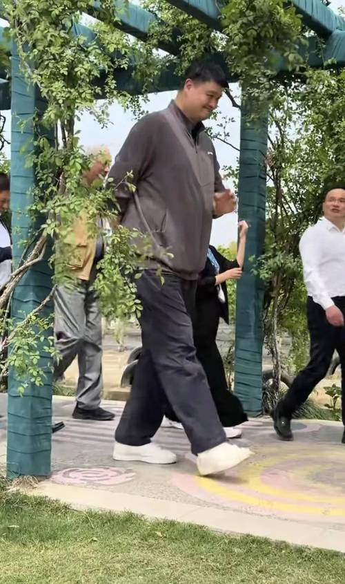 2025新澳门正版免费正题175和45岁姚明训练照曝光与45岁姚明训练照曝光视频