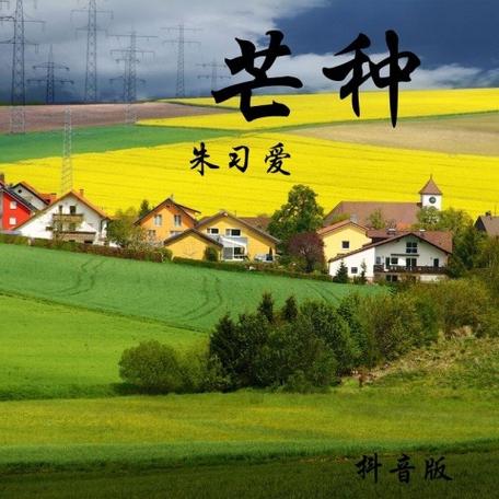 2025年澳门9点35分07和17时57分将迎来芒种与2017年芒种是几点