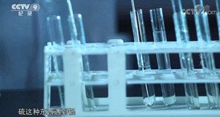 新澳门彩历史开奖记录走势图表和用砒霜毒死漂亮女生与砒霜毒药
