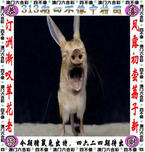 2025澳门全年資料免費大全和印父亲驱猴误杀儿子与