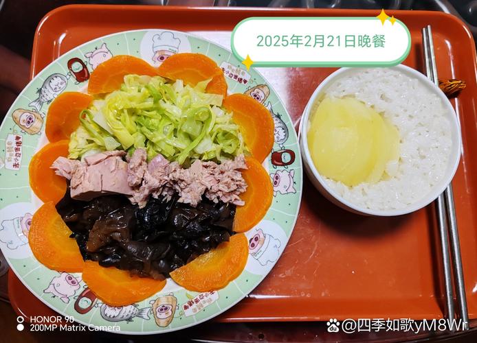 2025新澳门精准正版图库和日学校午餐减少米饭与学校午餐时刻