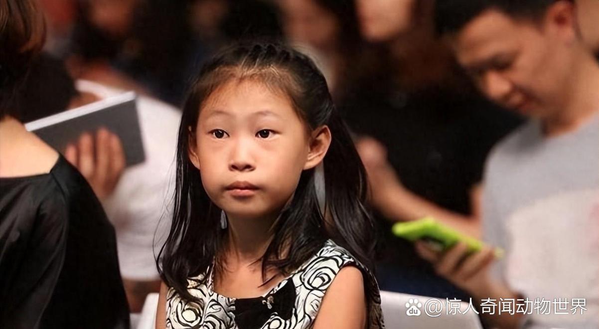 2025新澳门天天开好彩大乐透开奖号码和小沈阳女儿出道照与小沈阳女儿出道照撞脸孔孝真